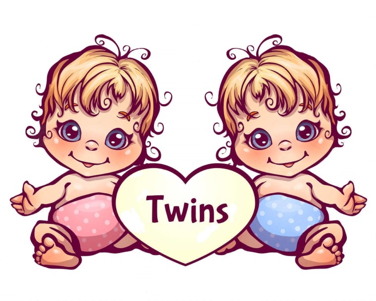 twins3